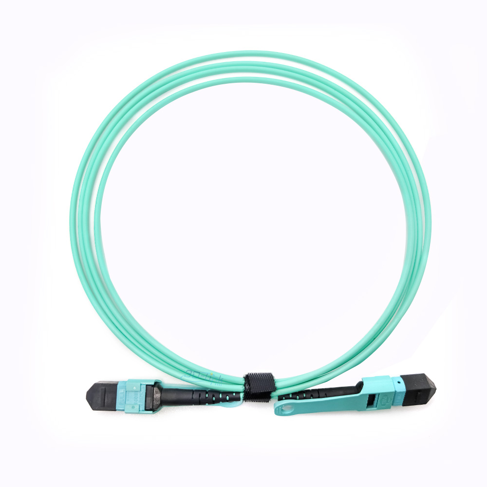 MTP/MPO MM OM3 3.0mm 24Cables Push-pull